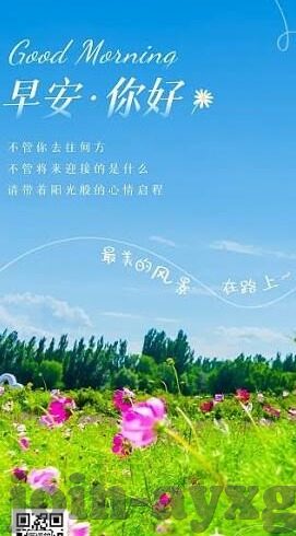 华盛顿足球比分-华盛顿足球比分，赛场风云中的城市荣耀与激情
